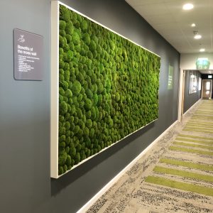 Moss Wall